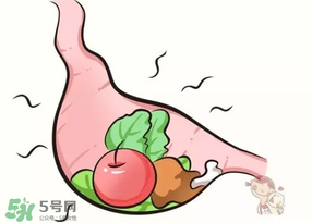 吃香椿會(huì)上火嗎？香椿吃多了會(huì)上火嗎？