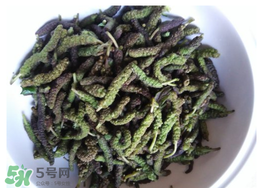 蒸構(gòu)樹花兒孕婦可以吃嗎？孕婦可以吃蒸構(gòu)樹花兒嗎？