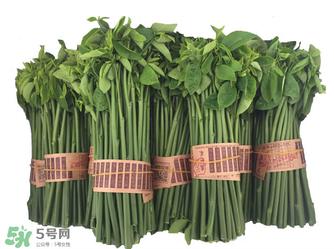 樹仔菜有毒嗎？樹仔菜有沒有毒？