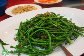 樹仔菜有毒嗎？樹仔菜有沒有毒？