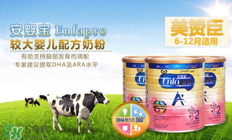 美贊臣A+荷蘭版怎么樣？美贊臣A+荷蘭版好嗎？