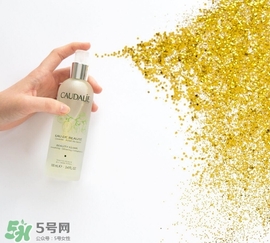 歐緹麗和悅木之源哪個(gè)好？歐緹麗皇后水和悅木之源菌菇水