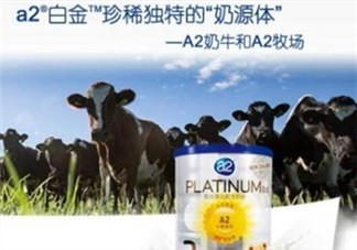 A2奶粉分白金和鉑金嗎？A2奶粉白金鉑金有區(qū)別嗎？