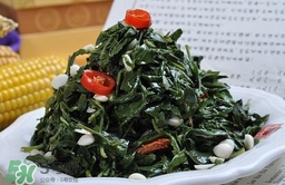 苦菜對(duì)人有什么好處？苦菜有什么功效