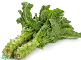 萵筍為什么會(huì)苦？萵筍苦能吃嗎？