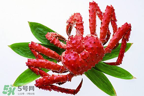 香椿能和海鮮一起吃嗎？香椿和海鮮能一起吃嗎？