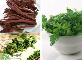 香椿和香菜能一起吃嗎？香椿和香菜怎么做？