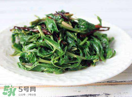 香椿和芹菜能一起吃嗎？香椿可以和芹菜同吃嗎？