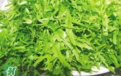 痛風(fēng)能吃苦菊嗎？苦菊痛風(fēng)人可以吃嗎
