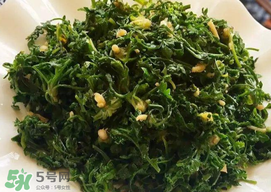 薺菜和香椿能一起吃嗎？薺菜和香椿一起吃好嗎？