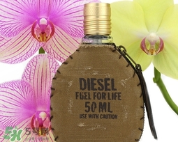 diesel迪塞爾是什么牌子？diesel是哪個(gè)國家的？