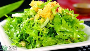 苦菊能和豆腐一起吃嗎？苦菊可以和豆腐一起吃嗎