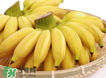 苦菊能和香蕉一起吃嗎？苦菊可以和香蕉一起吃嗎