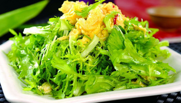 苦菊能和雞蛋一起吃嗎？苦菊可以和雞蛋一起吃嗎