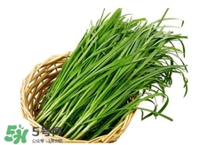 苦菊能和韭菜一起吃嗎？苦菊可以和韭菜一起吃嗎