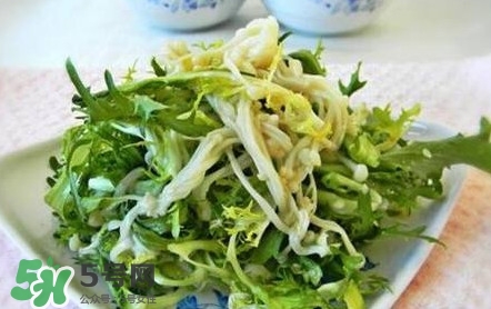 苦菊用不用焯水？涼拌苦菊用開水焯水嗎