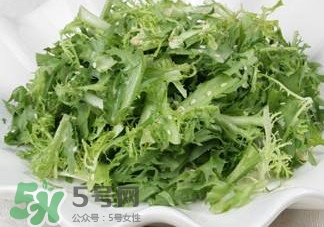 苦菊吃多了好嗎？苦菊吃多了好不