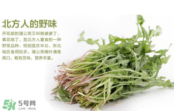 婆婆丁不能與什么同食？婆婆丁不能和什么一起吃？