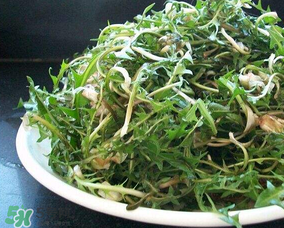 婆婆丁怎么吃？婆婆丁怎么吃最好？