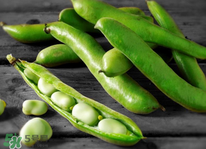 蠶豆什么時候成熟？蠶豆什么時候上市？