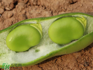 蠶豆什么時候成熟？蠶豆什么時候上市？
