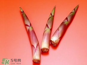 竹筍什么人不能吃？哪些人不適合吃竹筍？