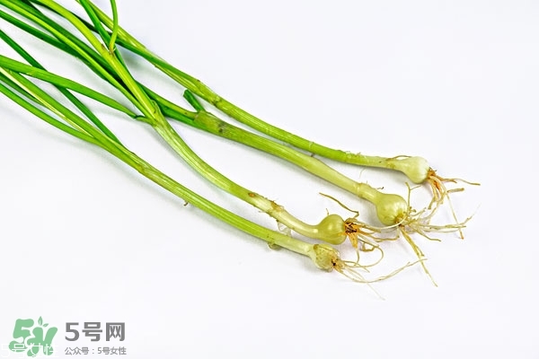 小根蒜的根能吃嗎？小根蒜的須子可以吃嗎
