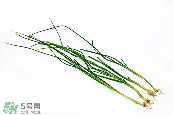 小根蒜的根能吃嗎？小根蒜的須子可以吃嗎