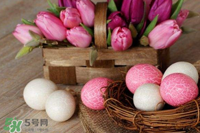 復(fù)活節(jié)怎么過？復(fù)活節(jié)可以做什么？