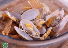 花甲怎么養(yǎng)不會(huì)死？花甲怎么養(yǎng)到用第二天？