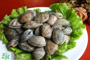 花甲不開(kāi)口怎么辦？怎么讓花甲開(kāi)口？