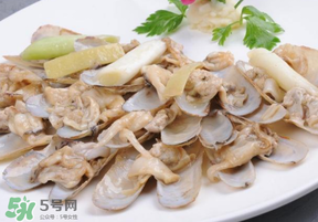 花甲怎么保存不會死？花甲怎么保存到次日？