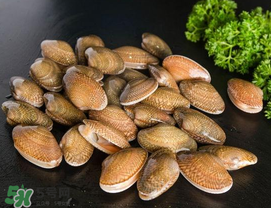 花甲為什么會(huì)苦？花甲有苦味什么原因？