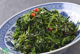 灰灰菜有什么功效？灰灰菜的功效與作用