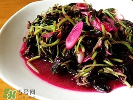 莧菜怎么摘？莧菜怎么處理