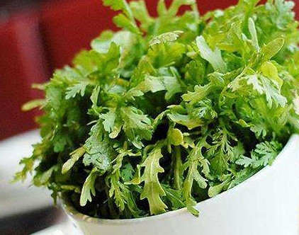 茼蒿與什么食物相克？茼蒿不能和什么一起吃