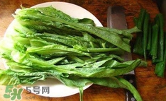 萵苣葉是什么？生菜是不是萵苣葉子