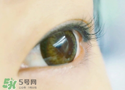 貝印和muji睫毛夾哪個(gè)好？貝印和無(wú)印良品睫毛夾對(duì)比