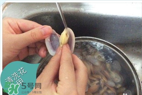 芒果螺怎么清洗？芒果螺怎么吃