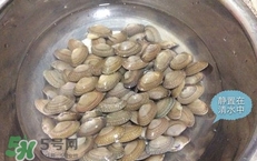 芒果螺怎么清洗？芒果螺怎么吃