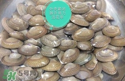 芒果螺怎么清洗？芒果螺怎么吃