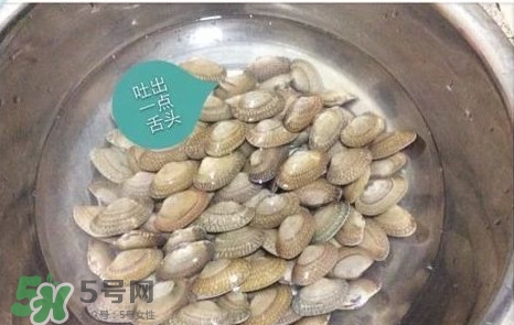 芒果螺怎么清洗？芒果螺怎么吃