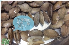 芒果螺怎么清洗？芒果螺怎么吃
