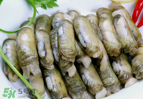 蟶子不能和什么一起吃？蟶子和什么不能一起吃？
