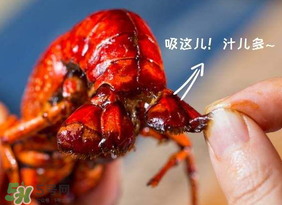 吃油燜大蝦會(huì)胖嗎？油燜大蝦的熱量是多少？