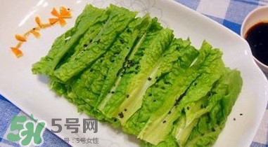 萵苣葉是什么？生菜是不是萵苣葉子