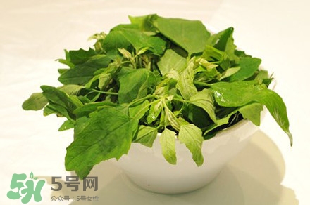 灰灰菜有什么功效？灰灰菜有什么營養(yǎng)價值