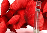 kenzo香水一枝花多少錢？kenzo一枝花香水怎么樣價(jià)格