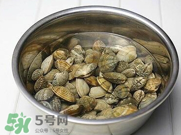 芒果螺孕婦能吃嗎？芒果螺孕婦可以吃嗎