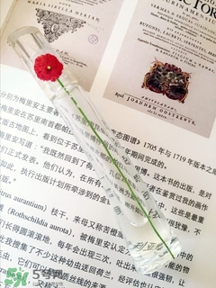 kenzo香水一枝花多少錢？kenzo一枝花香水怎么樣價(jià)格